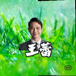 王蕾